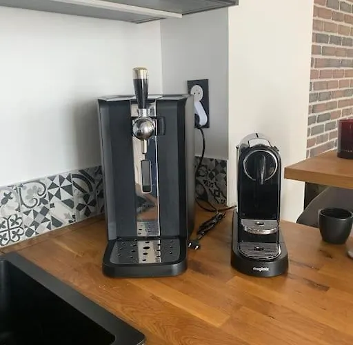 Chrysalide Au Coeur Du Touquet.